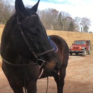 Meet your Posher, Brittany